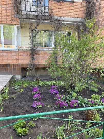 Комната 11,8 м² в 4-к., 5/9 эт.