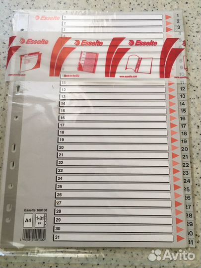 Пластиковый разделитель для папки А4. Esselte