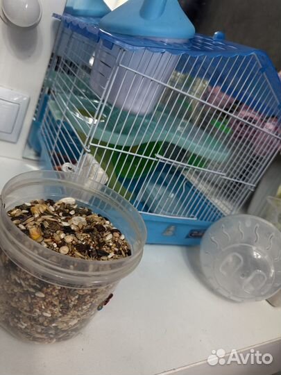 Клетка для грызунов