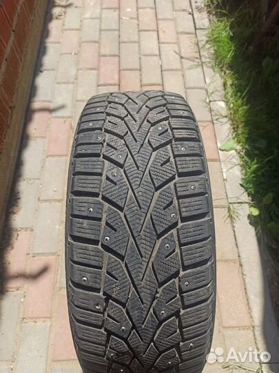 Gislaved NordFrost 100 205/55 R16