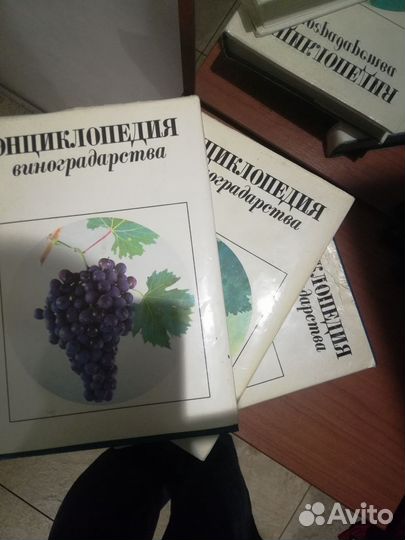 Энциклопедия виноградорства