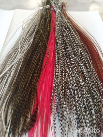 Перья петуха гризли