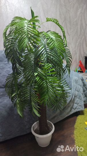 Искусственная пальма бу