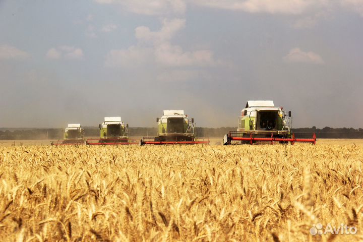 Агроном (с. Малакеево)