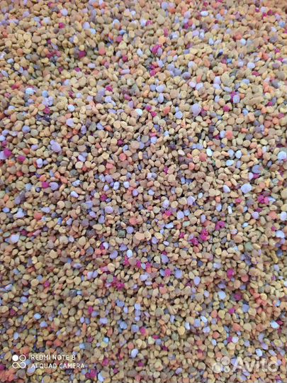 Натуральный и полезный мед с пасеки Здоровья