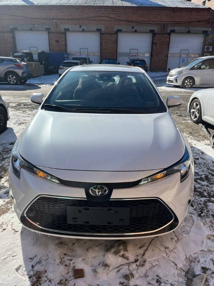 Toyota Levin: фото владельца