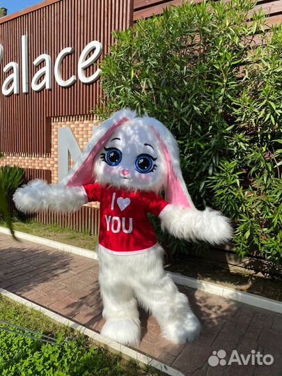 Аниматоры/шоу программы/квесты/пузыри