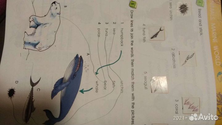 Express picture dictionary учебник и рабочая тетра