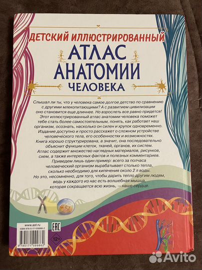 Детский Атлас анатомии человека новый
