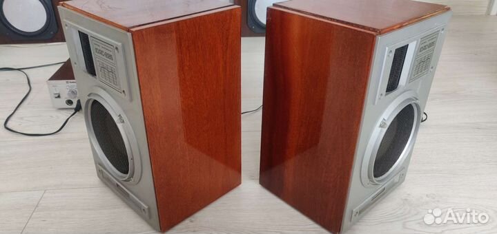 Акустические колонки 10ас-225