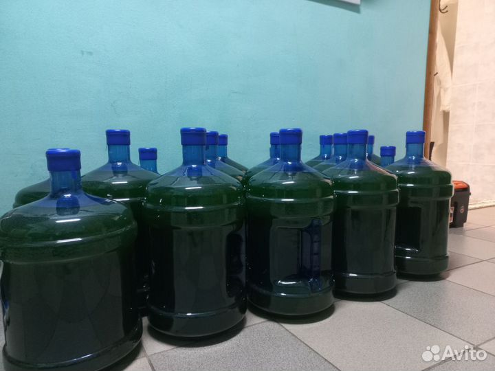 Хлорелла для очистки водоёмов. Производство Пермь