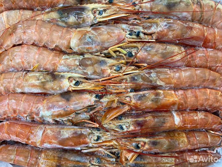 Лангустины L1 крупный. Упаковка 2 кг