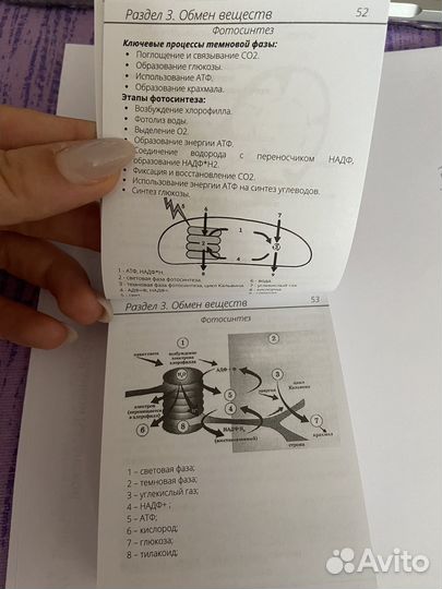 Карманный справочник по биологии Алёна Бриз