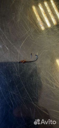 Ветеринарный врач