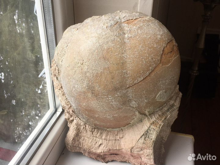 Продаётся шикарный образец