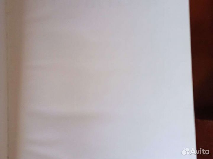 Книга про Брежнева