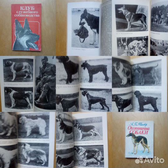 Клуб служебного собаководства. 1988