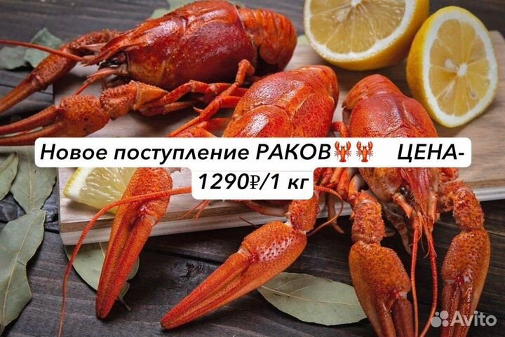 Раки вареные (Египет)