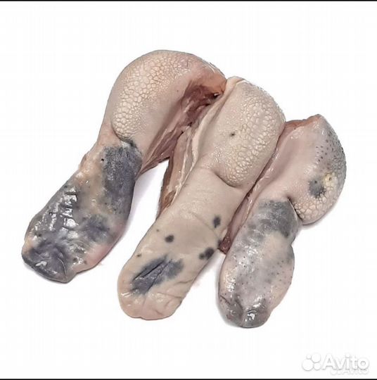 Ливер бараний