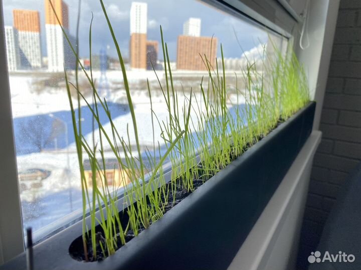 Самое узкое и длинное кашпо с автополивом 1 м