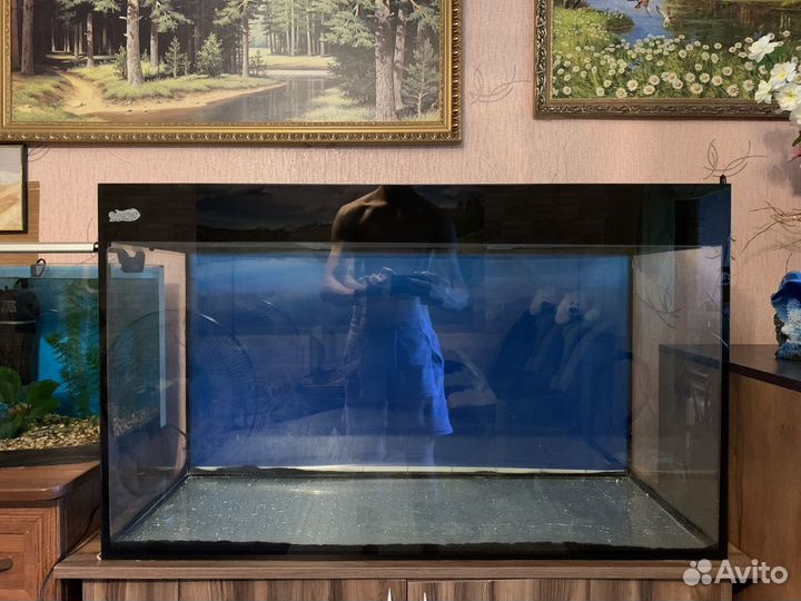 Аквариум с затемнённым стеклом