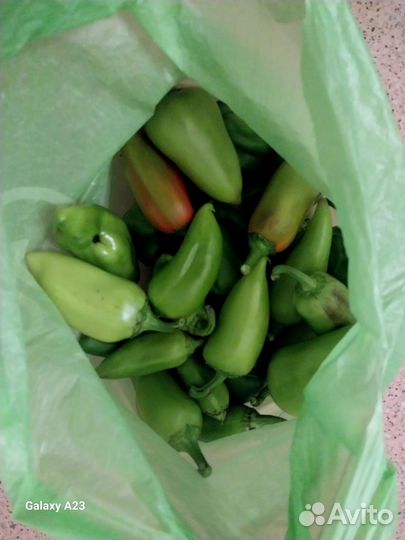 Продам свежий урожай