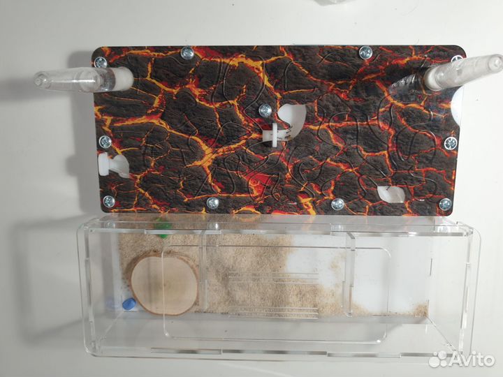 Муравьиная ферма