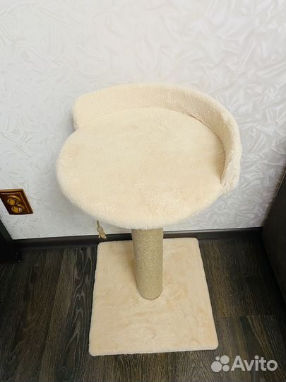 Когтеточка