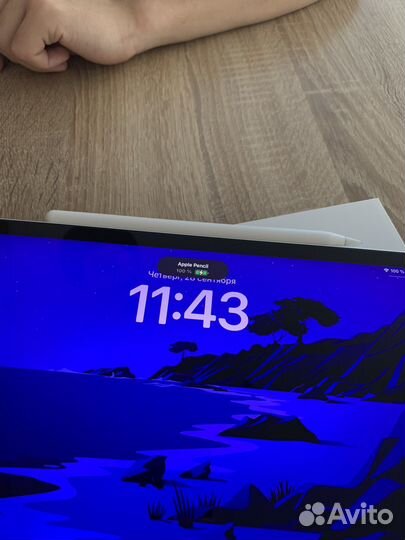 Original Apple pencil 2 (Стилус 2-поколение)