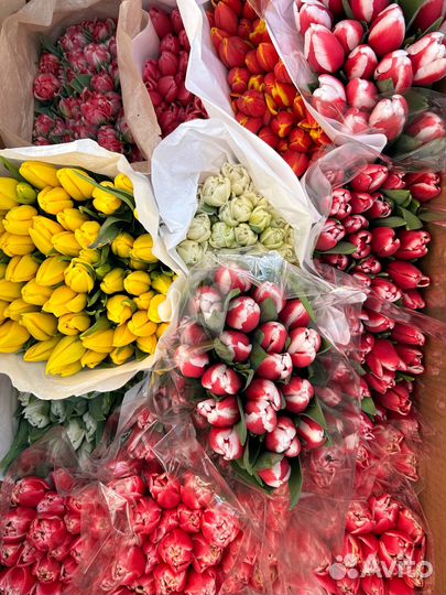 Живые цветы букеты