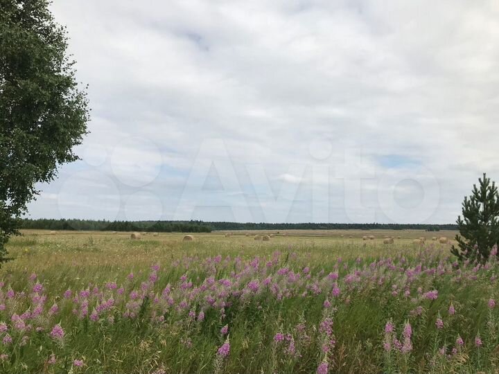 Участок 16 сот. (ИЖС)