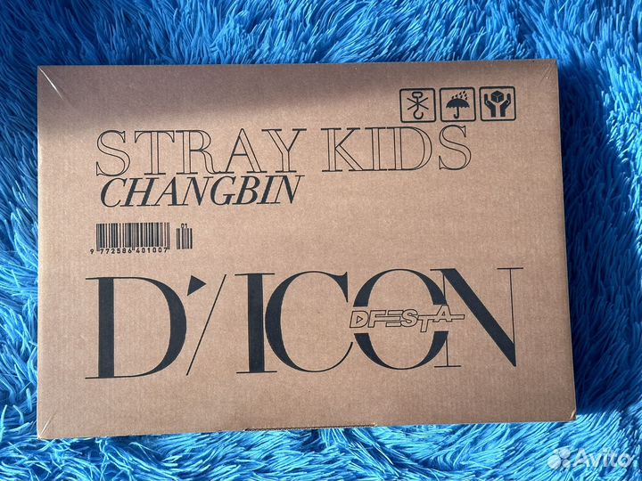 Stray Kids - dicon