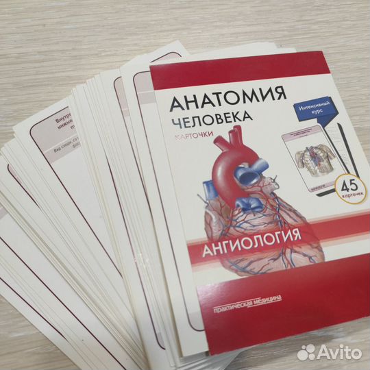 Карточки по анатомии