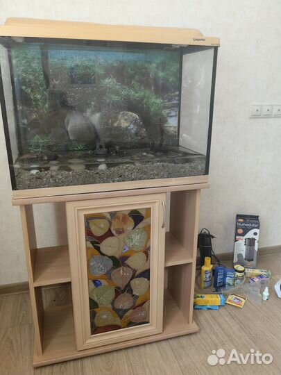 Аквариум 100 литров