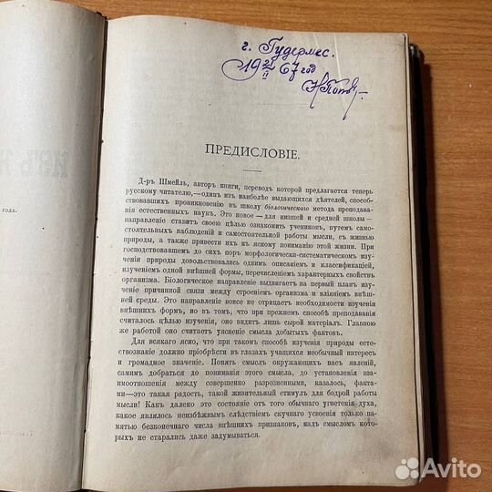 Антикварные книги: Очерки из жизни растений