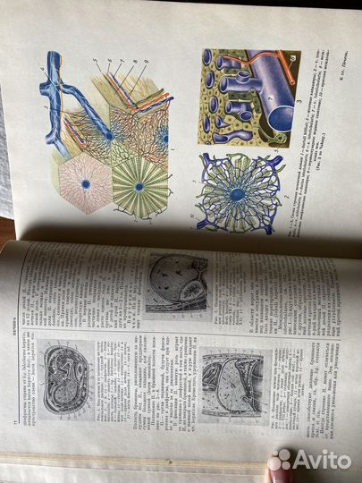 Большая Медицинская Энциклопедия