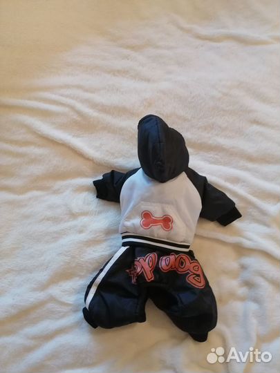 Комбинезон для очень маленькой собачки