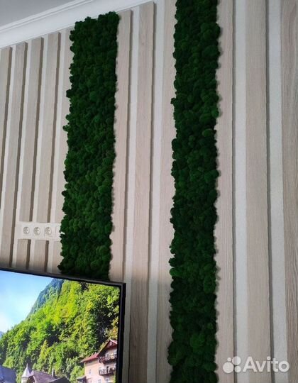 Стабилизированный мох в интерьере