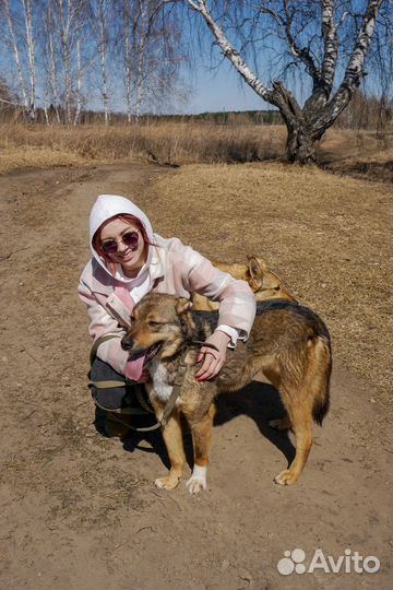Братик с сестричкой ищут дом
