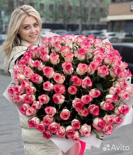 Роза 31, 51, 101