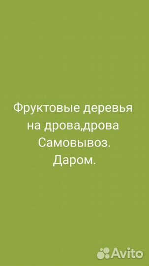 Дрова