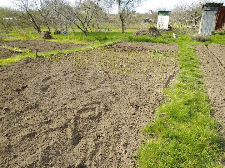 Дача 20 м² на участке 7 сот.