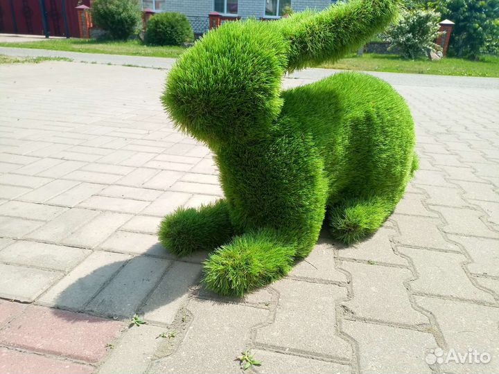 Заяц топиарий