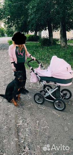 Коляска 2 в 1