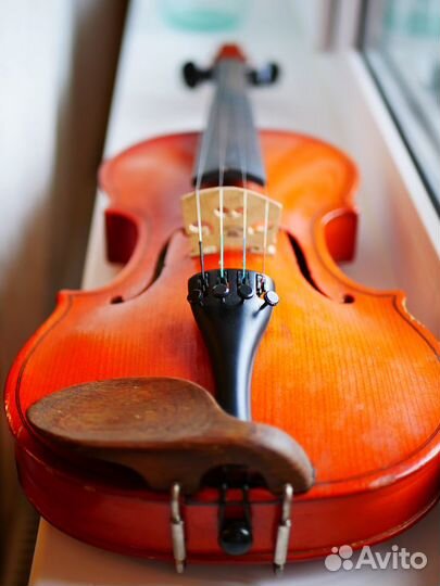 Скрипка в аренду полный комплект