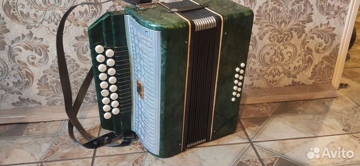 Гармонь малыш
