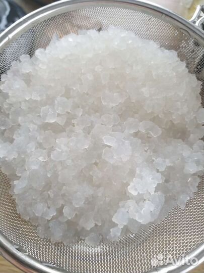 Индийский морской рис (водный кефир)