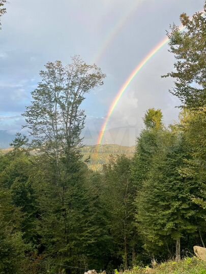 Участок 5,5 сот. (ИЖС)