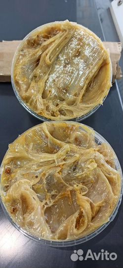 Дикий Мёд (Бортевой) 2022