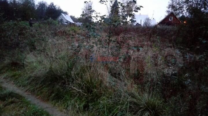 Участок 11 сот. (ИЖС)